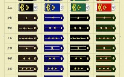 中国的军衔等级及标志2020(军官肩章级别图解)