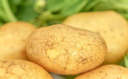 土豆的保存方法有哪些(冬季储存土豆的方法)