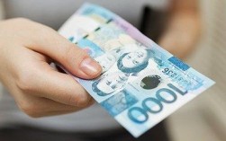 人民币兑菲律宾比索手续费(800阿根廷比索能换多少人民币)