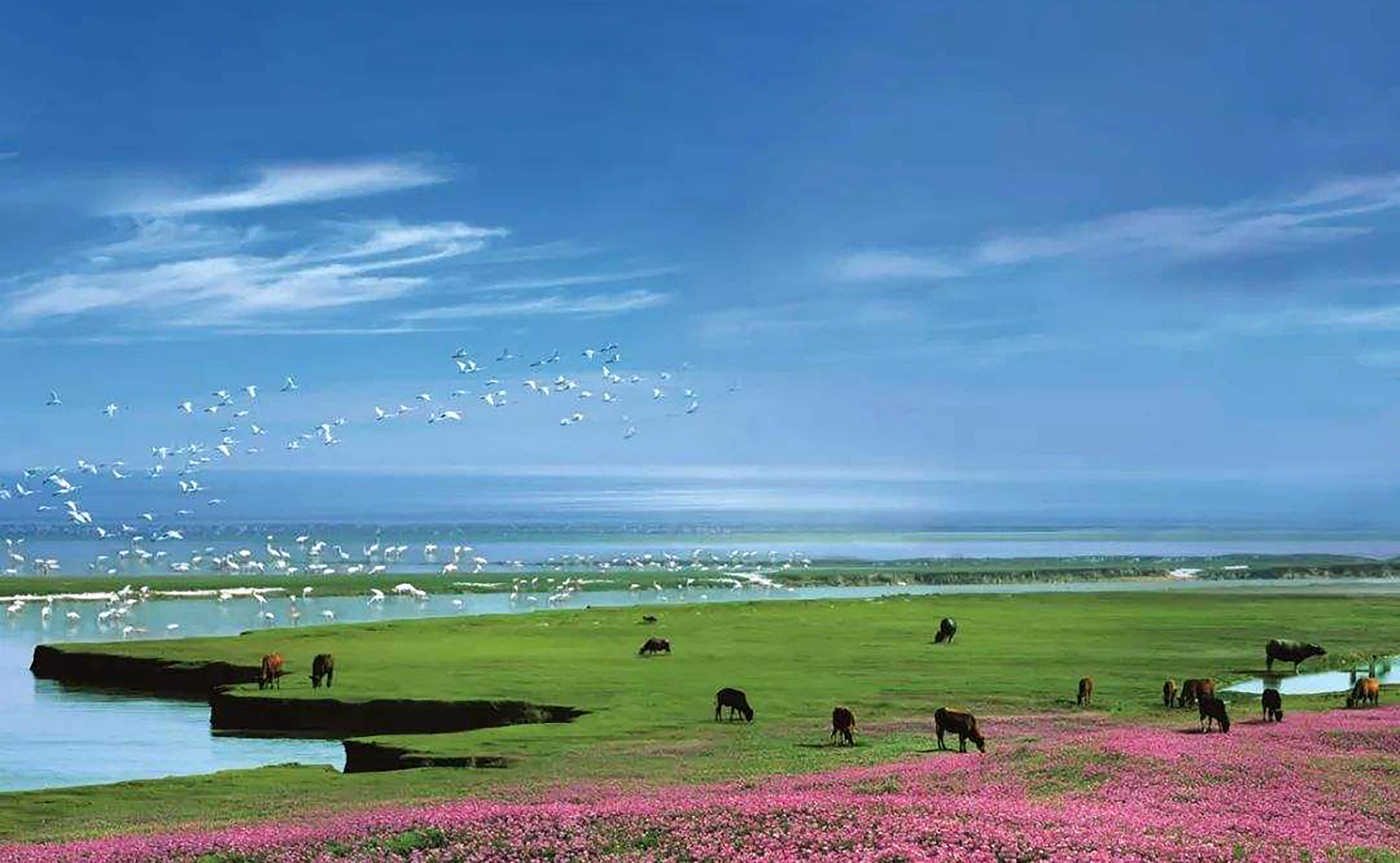 中国第一大淡水湖在哪里(我国第一大淡水湖是什么_)