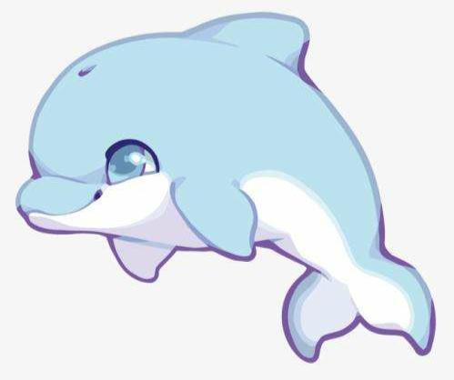 鲸鱼和海豚的故事(海豚跟鲸鱼)