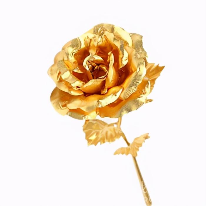 金色玫瑰花叫什么(金箔玫瑰是真金吗)