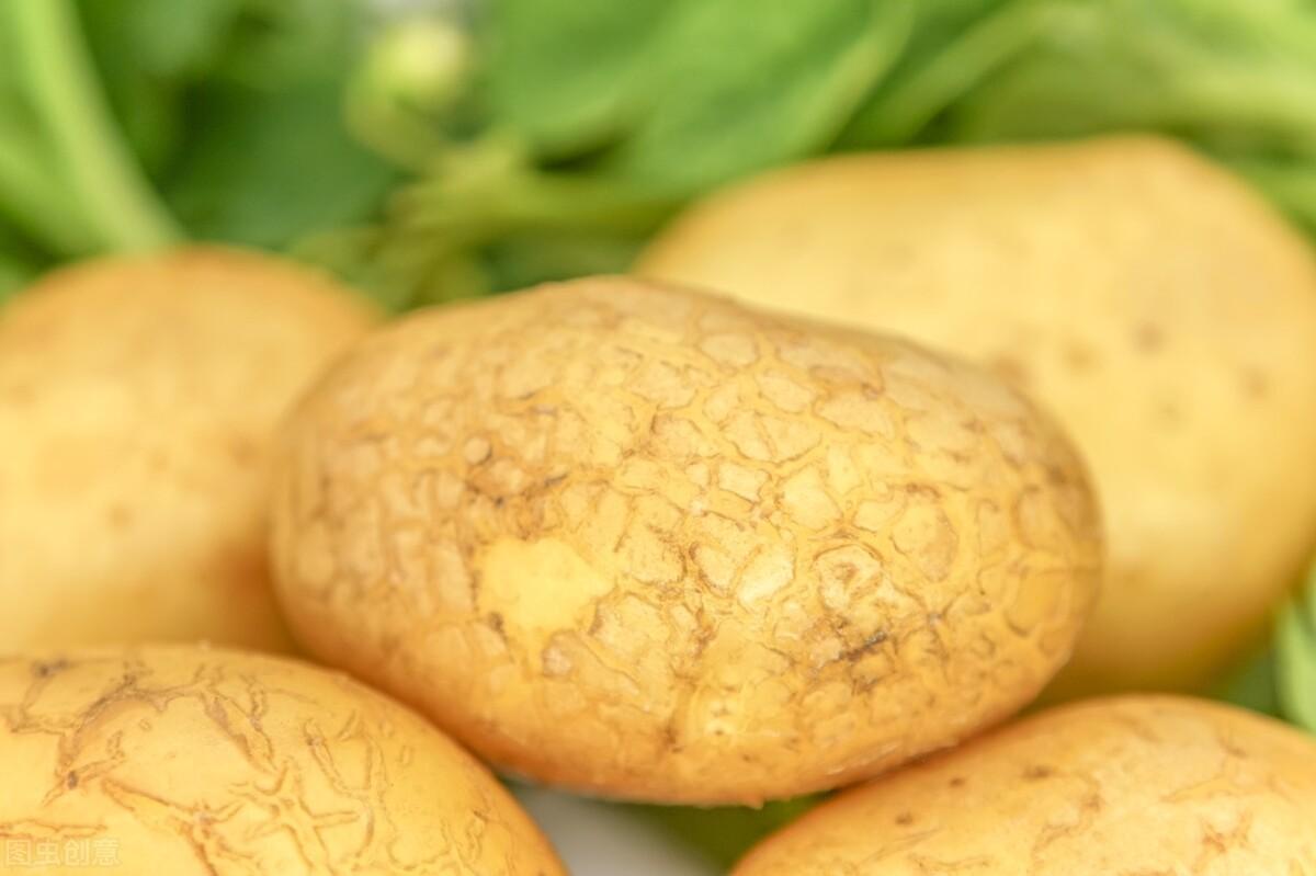 土豆的保存方法有哪些(冬季储存土豆的方法)