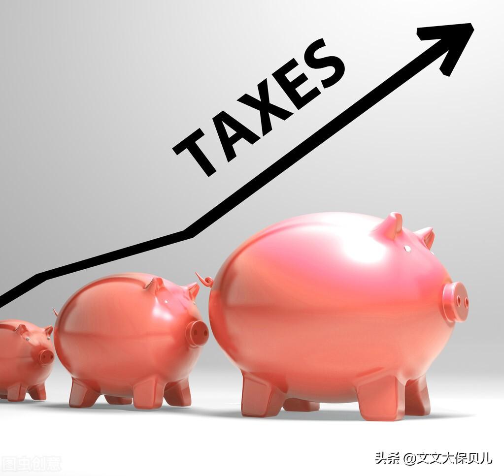 一般纳税人税率是多少_(一般纳税人税种及税率)