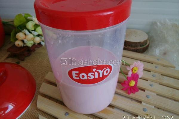 酸奶机做酸奶的制作方法(酸奶机怎么做酸奶)