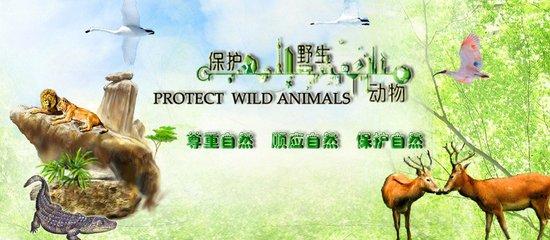动物是人类的朋友_我们要保护动物(动物是人类的朋友名言)
