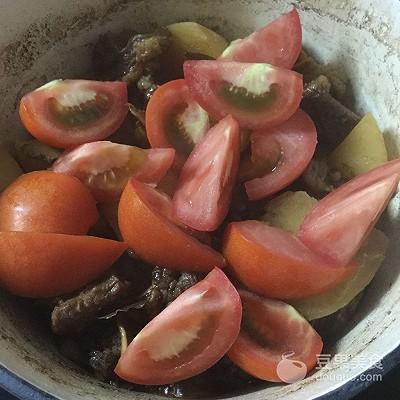 西红柿土豆炖牛腩的家常做法(正宗的番茄炖牛腩做法)